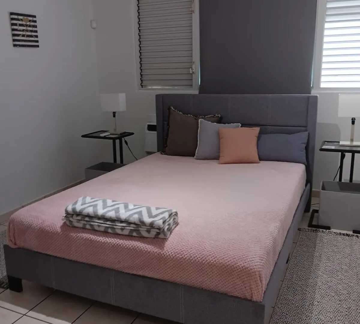 6 Min Away Bad Bunny'S Venue,Full Gen Nxt Condado Lägenhet San Juan Puerto Rico