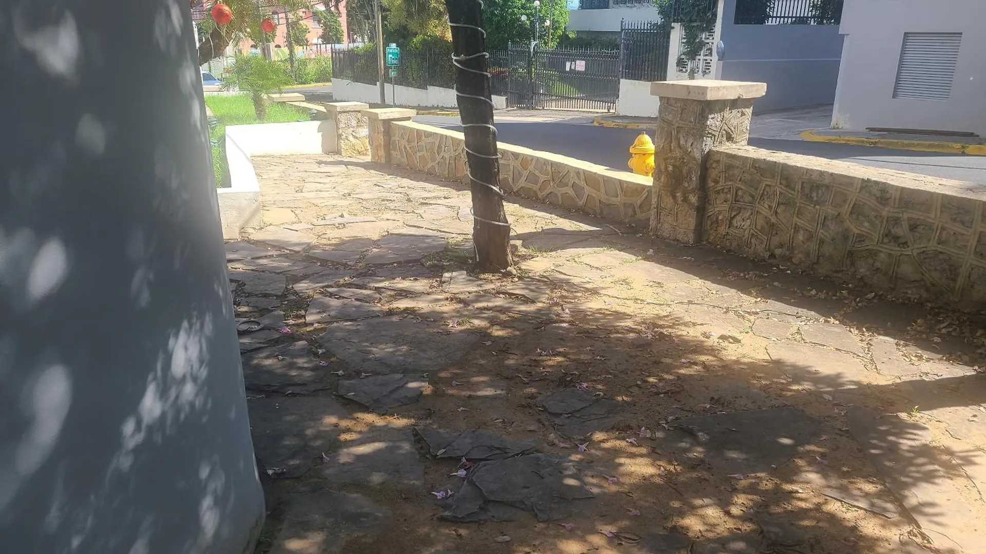 6 Min Away Bad Bunny'S Venue,Full Gen Nxt Condado Lägenhet San Juan Puerto Rico